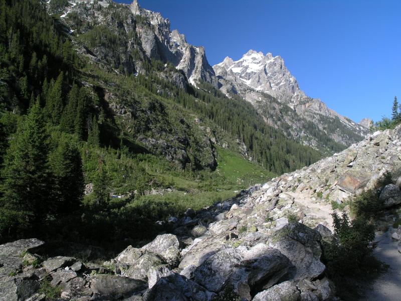 Heading up the Cascade Canyon Trail