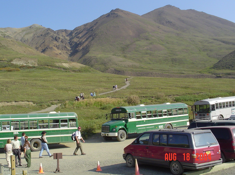 Typical buses at Denali