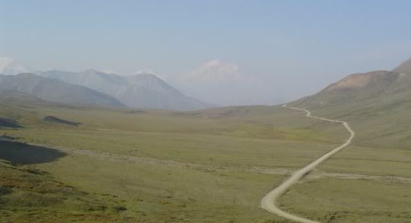 Denali in the distance