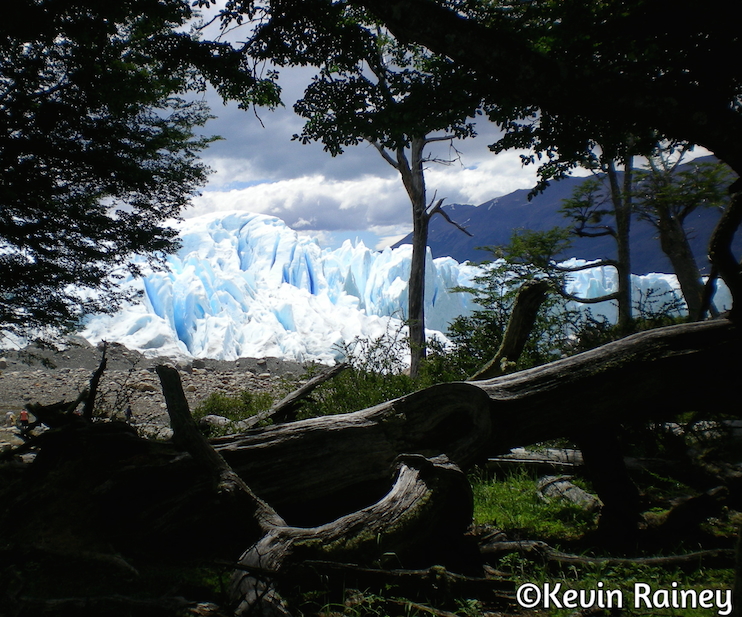 The stunning Perito Moreno  from the forrest
