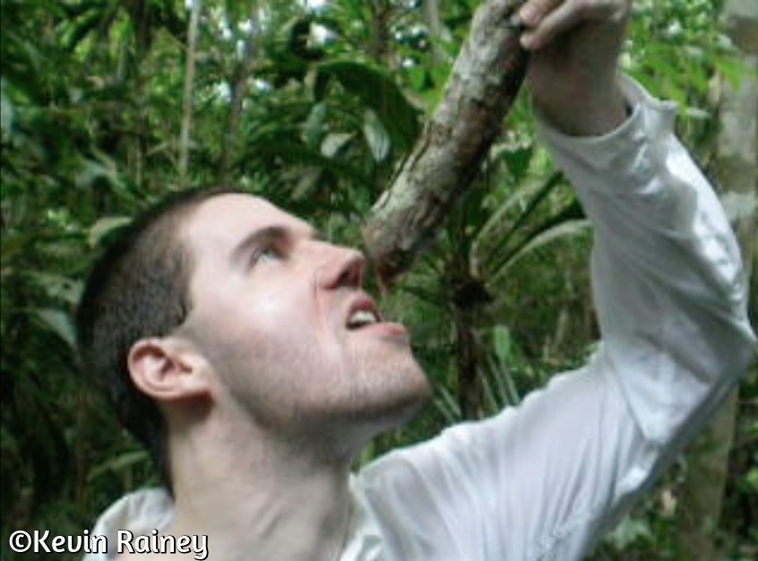 Screen Shot 2014-11-12 at 12.29.59 AM