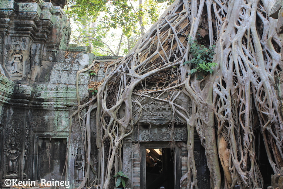 Ta Prohm