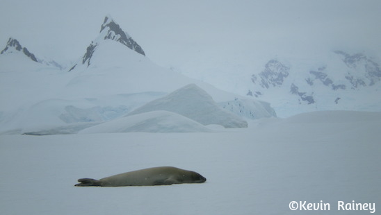 DSCN6349_zps42ecdbb1