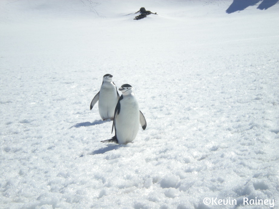 DSCN6378_zps9366089c