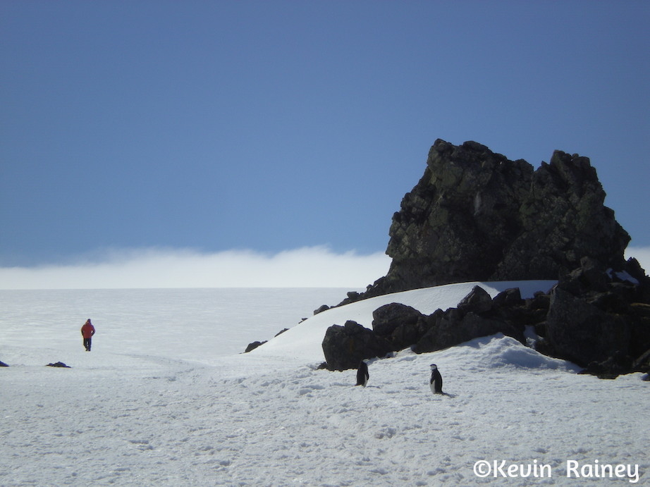 DSCN6388_zps90f4a050