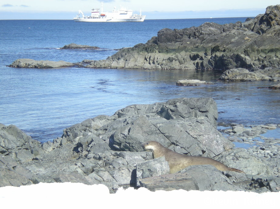 DSCN6391_zps6ce71c42