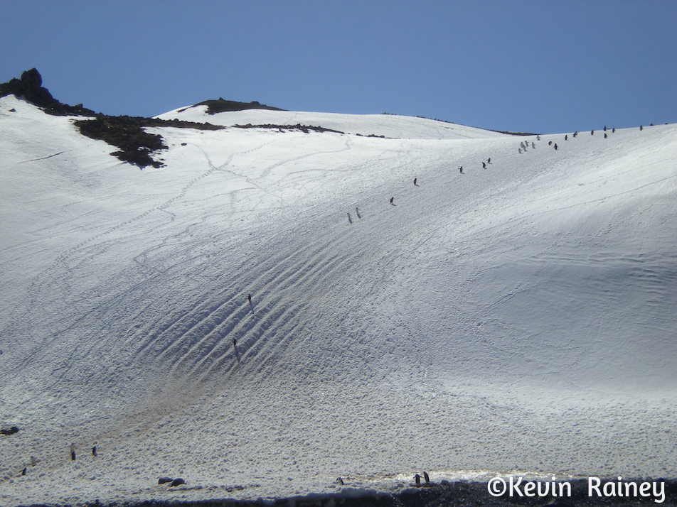 DSCN6400_zps60d457ad