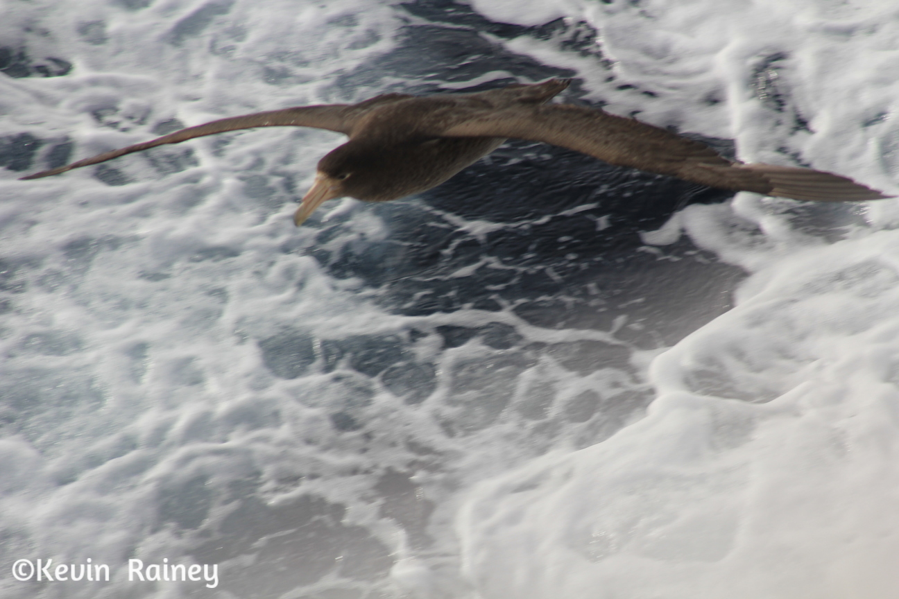 IMG_7876_zps3fcd9d00