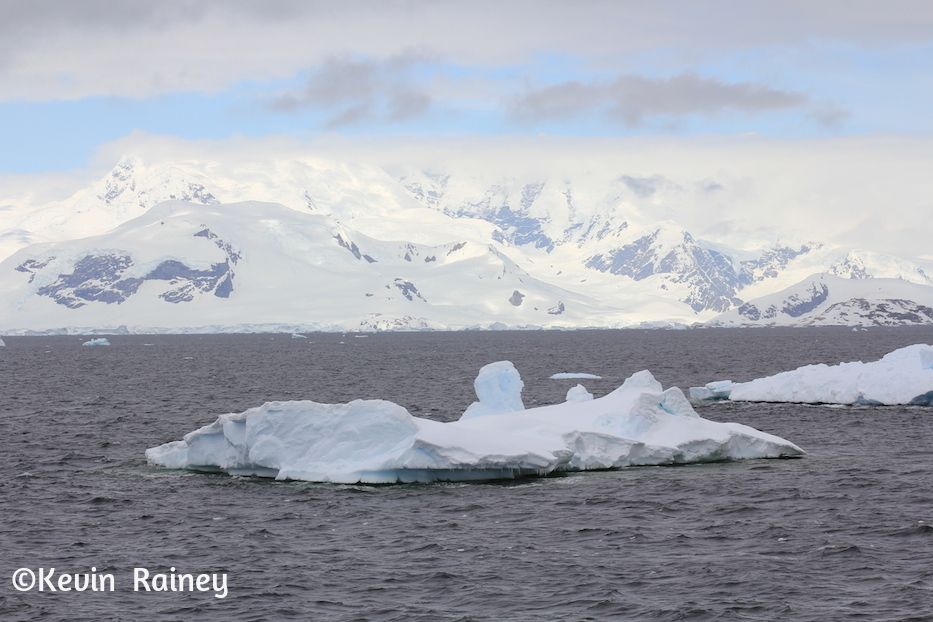 IMG_8137_zps5005740a