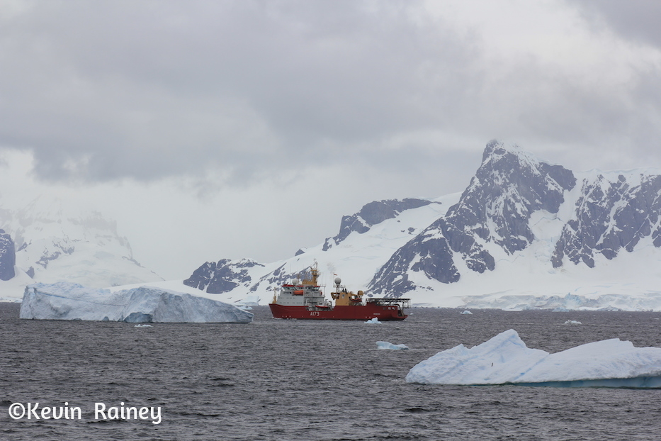 IMG_8167_zpsfce97495