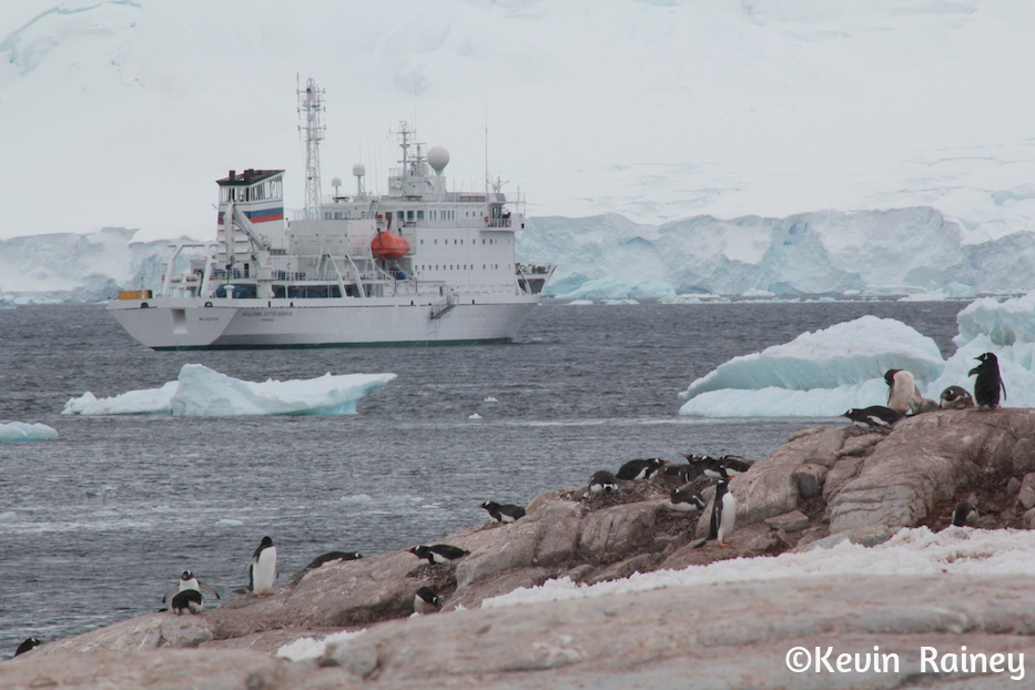 IMG_8238_zpsa2fa1b4e