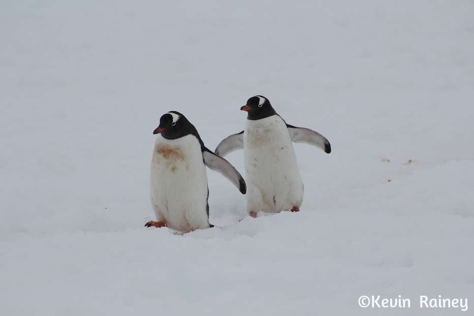 IMG_8280_zps99f0e33c