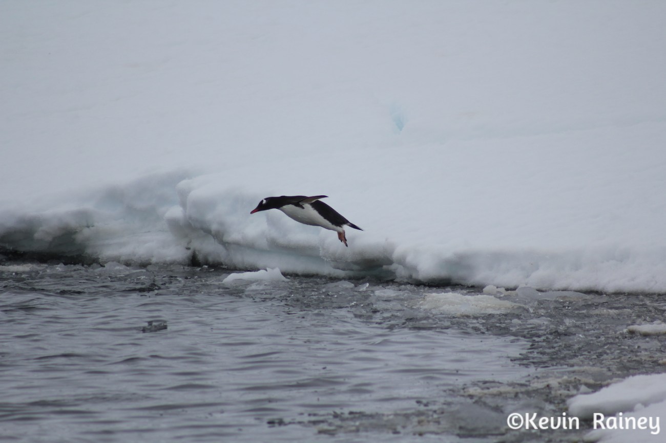 IMG_8320_zps4e87d627