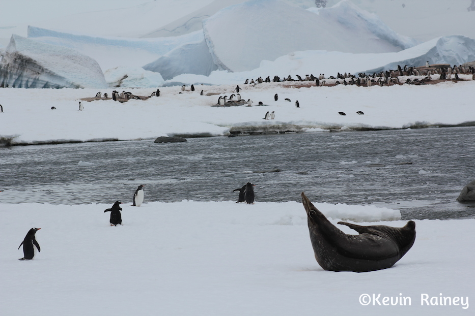 IMG_8328_zpsd6058235