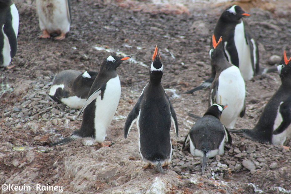 IMG_8376_zps2c4acd8a