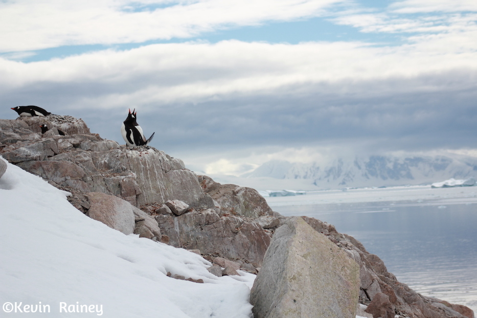 IMG_8381_zps73898729