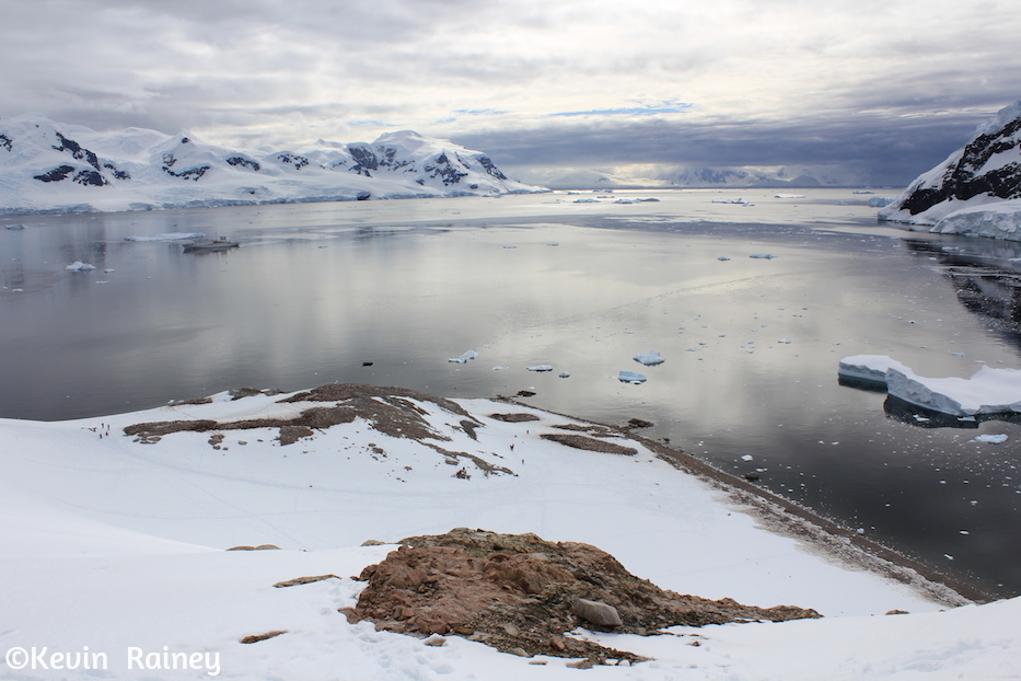 IMG_8411_zps1b6825eb