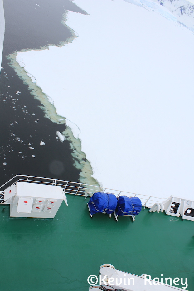 IMG_8587_zpsd7e295fa