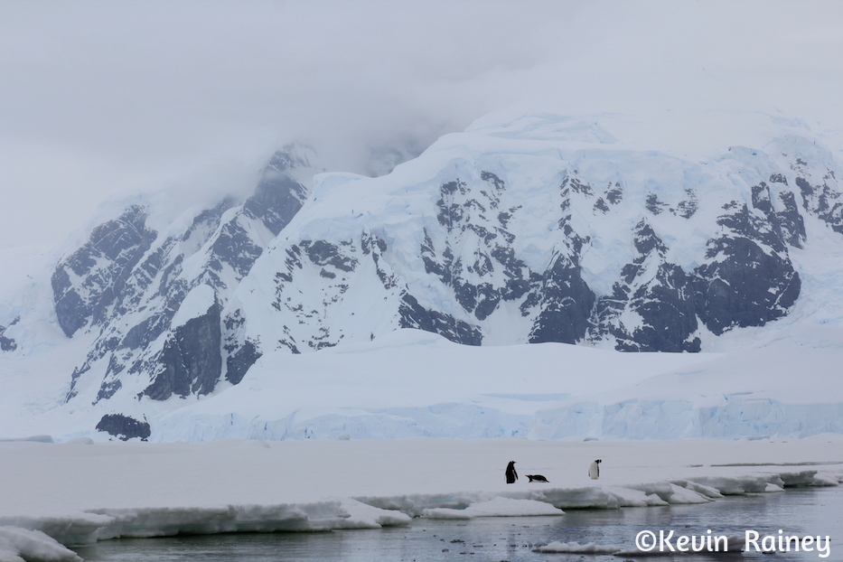 IMG_8644_zpsffa4b592