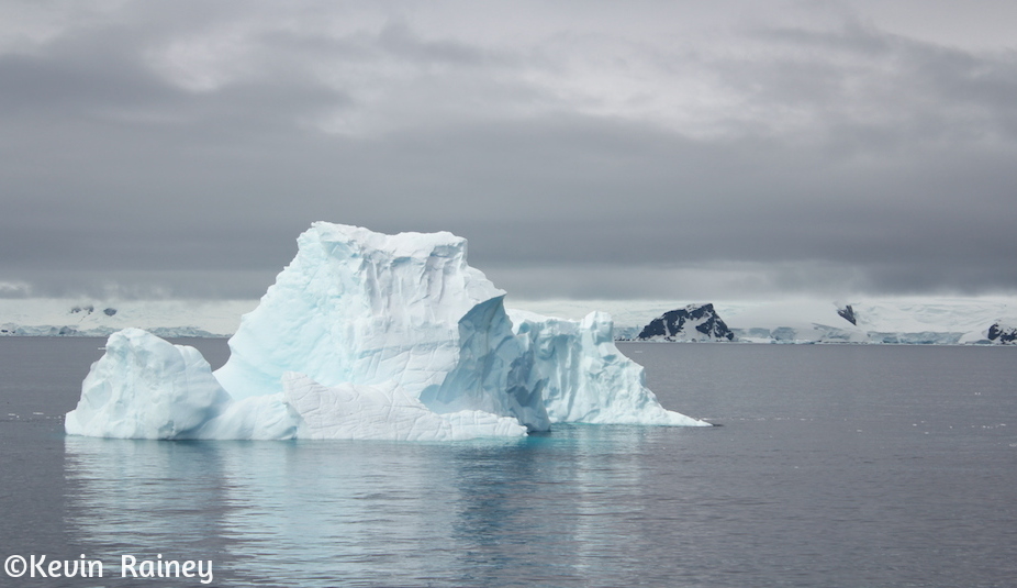 IMG_8788_zpsd67a21d5