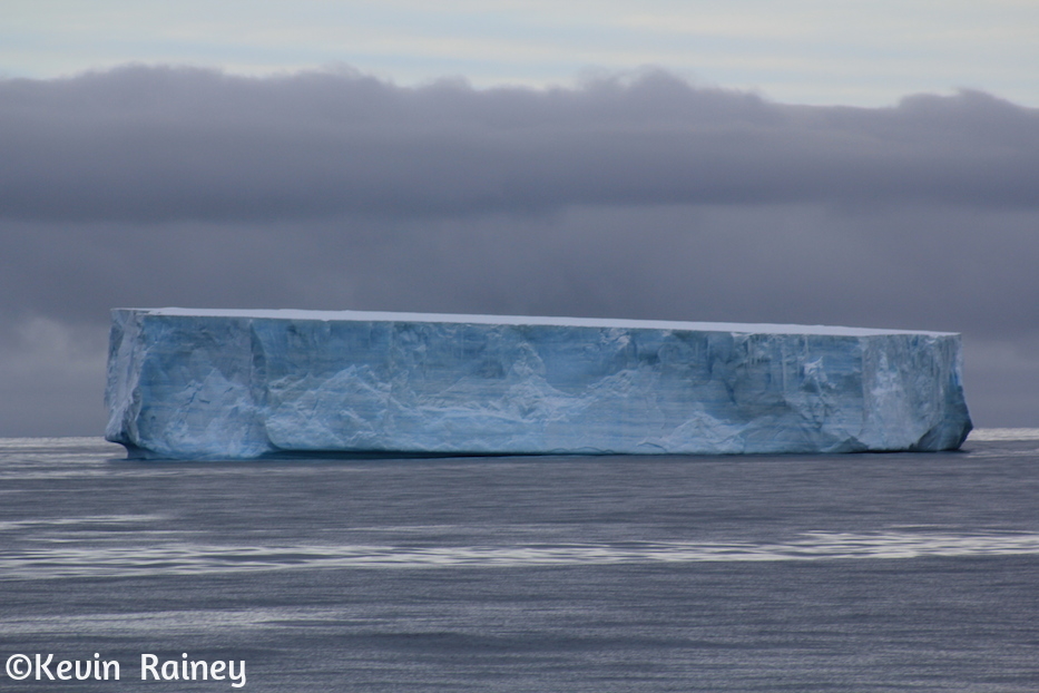 IMG_8949_zps263634e4