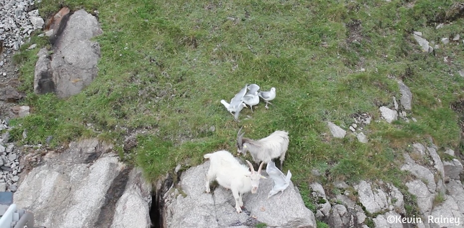 Screen Shot 2014-12-20 at 1.38